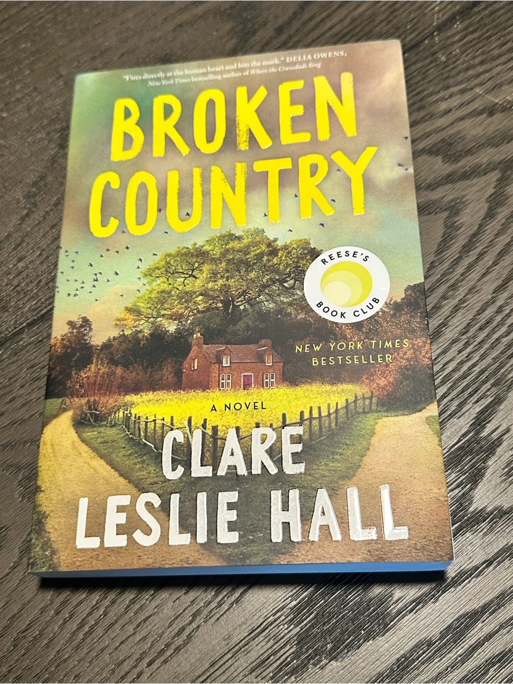 📚4 for $25 📚 Broken Country by Clare Leslie Hall